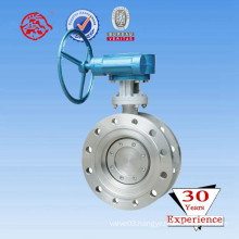 Gear Operated Stainless Steel Double Flange Butterfly Valve